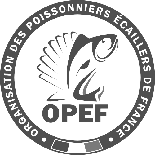 OPEF-transparent