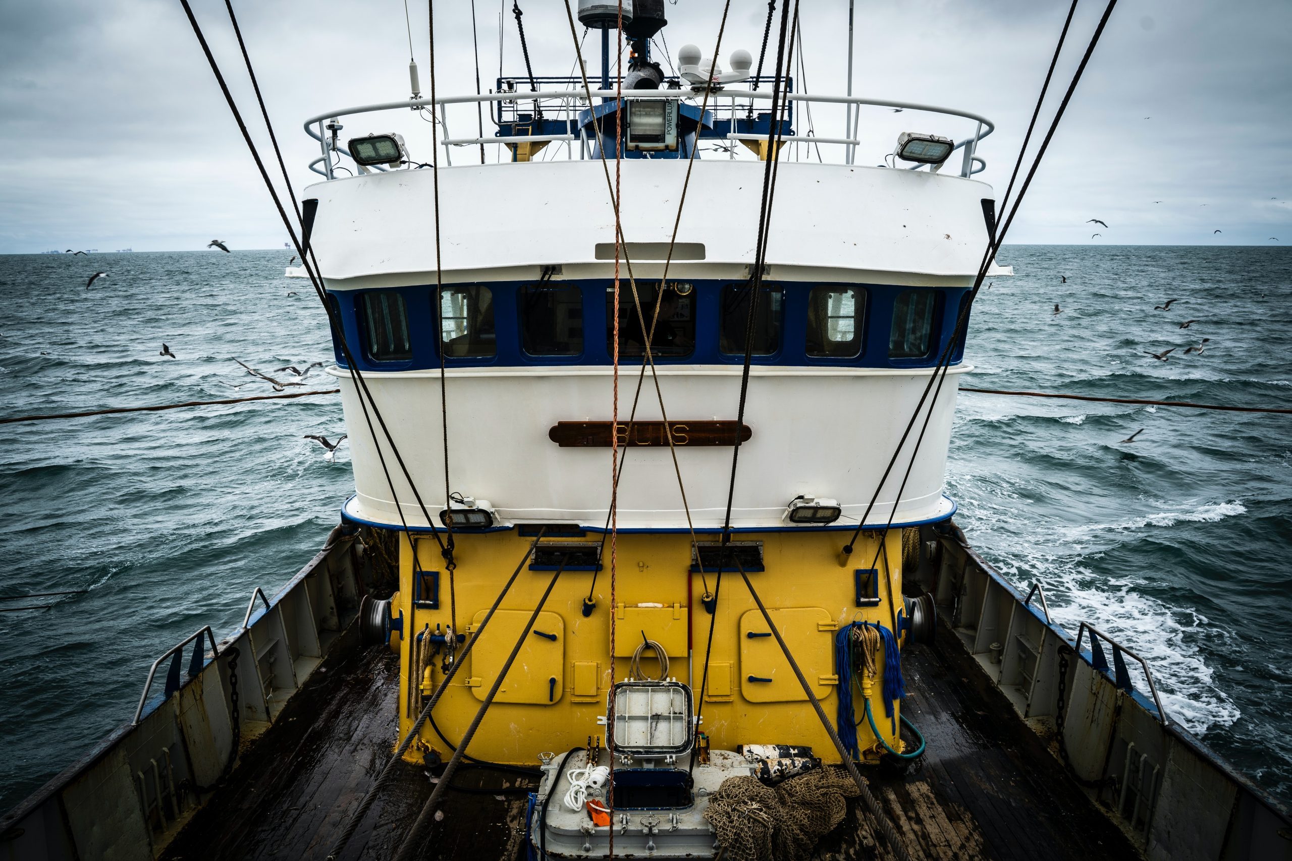 paul-einerhand-FkvrkPQ_8bA-unsplash
