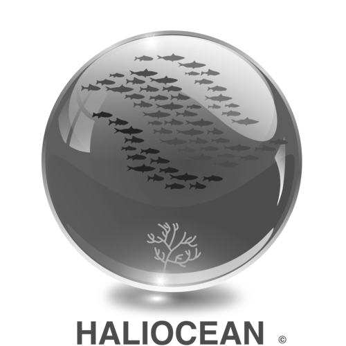 Logo Haliocean vierge-3-2