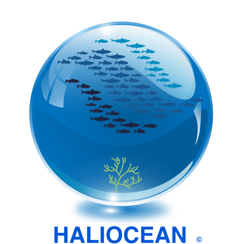 Logo Haliocean vierge-3